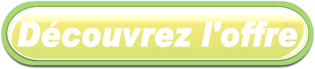 BOUTON LIVRAISON FLEURS A NOYAL-PONTIVY
